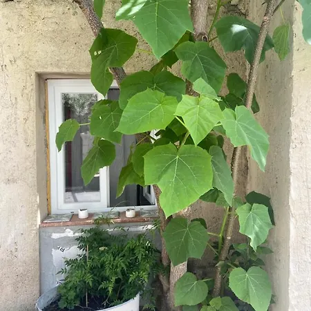 Lou Mut Villa Lectoure Buitenkant foto